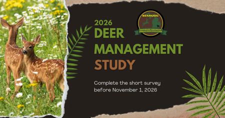 Announcement of a 2026 Deer Management Study with a picture of 2 fawns. Complete the short survey before November 1, 2026.