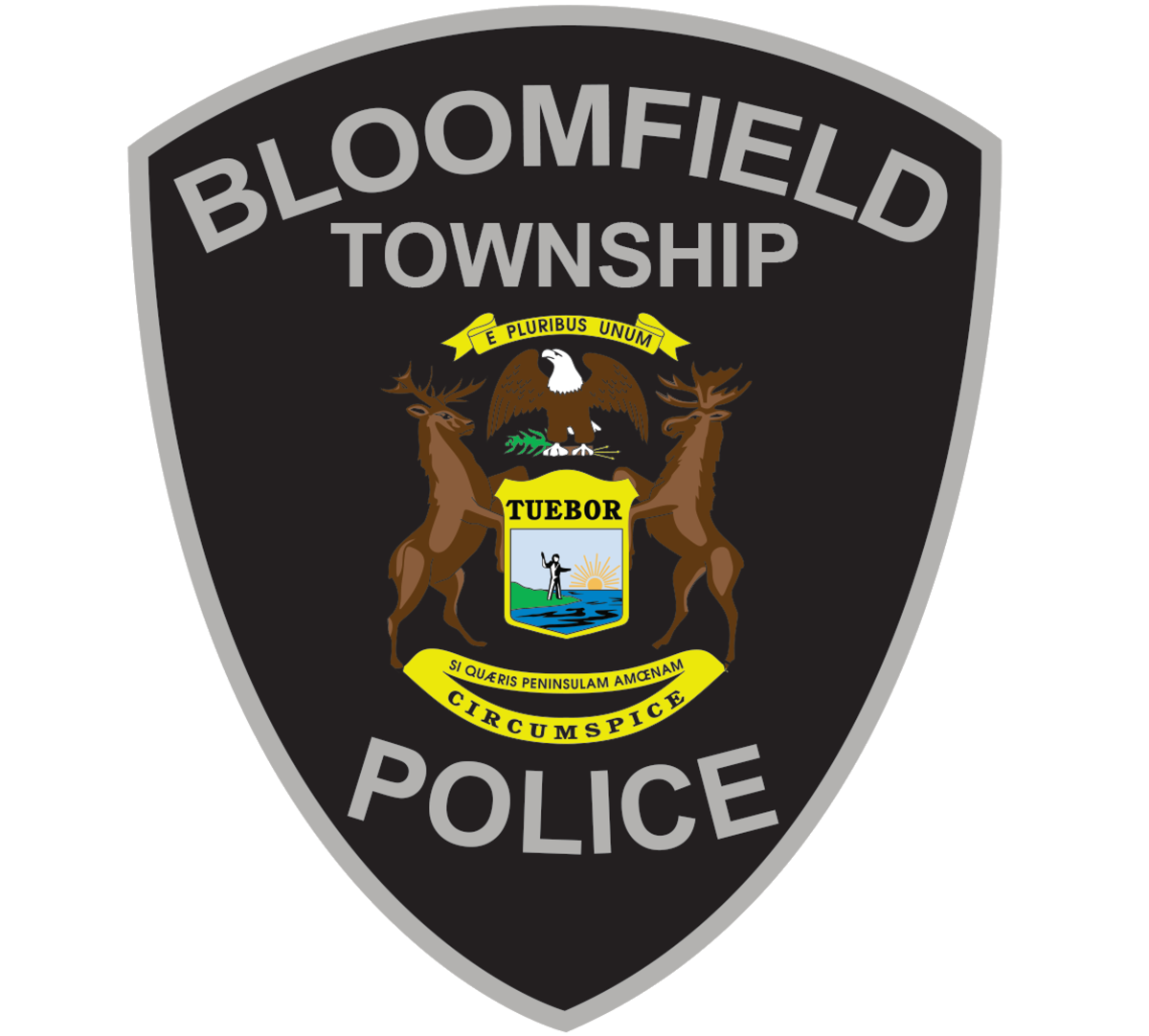Arrest Made in Larceny From Automobile Bloomfield Township