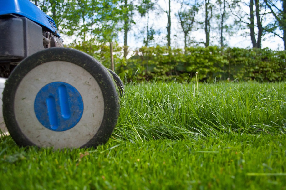 closeup of lawnmower cutting grass
