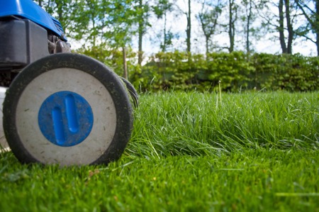 closeup of lawnmower cutting grass