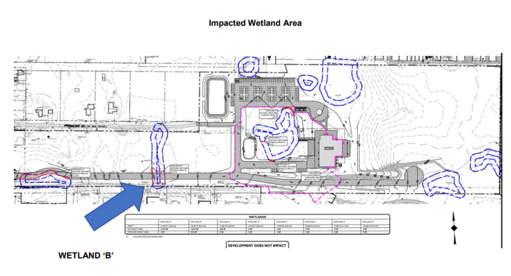 Map detailing the wetlands.